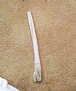 Natürlicher echter Treibholz Zauberstab 17 Zoll - Bild 1 von 5