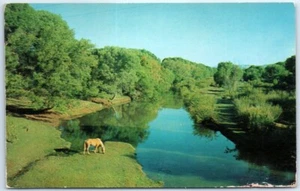 Postal - El río Verde, Arizona, EE. UU. - Imagen 1 de 2