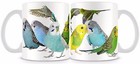 Budgerigar Mug 11oz Budgie Bird