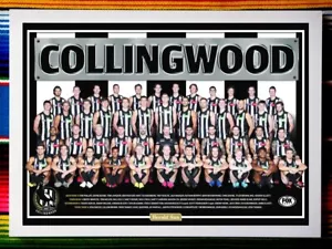 Póster Collingwood Magpies AFL 2020 enmarcado - 45 cm x 32 cm x 3 cm - Imagen 1 de 3