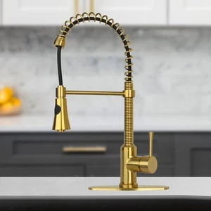 Pre-Rinse Spring Kitchen Faucet , Single Handle Solid Brass Brushed Gold 8.8"x 2 - Picture 1 of 5
