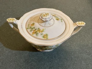 Vintage China Carrollton CLT 148 Sugar Bowl & Lid Discontinued - Picture 1 of 9