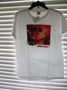 Crazy Shirts Hawaii short-Sleeve Sunset to MoonlightT-Shirt Womens L - Picture 1 of 1