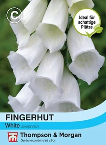 Fingerhut 'White' - Digitalis purpurea, reinweiß, Landhausgarten, Samen, 9032 - Bild 1 von 2