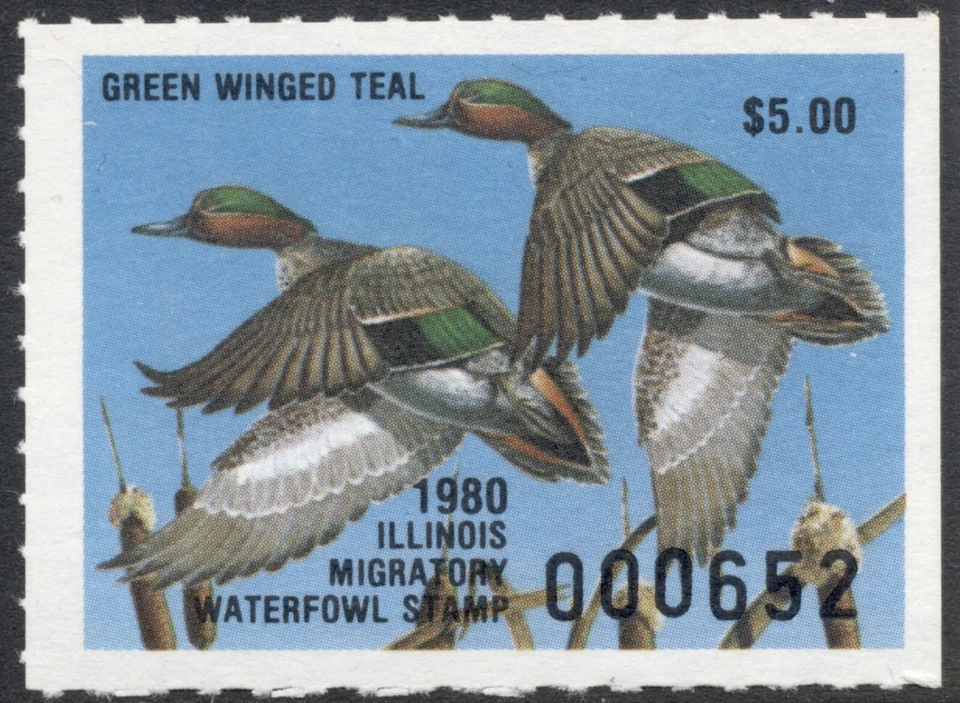 Illinois duck stamp 1980 Green-winged Teal Scott #IL6 VF MNH Jaffe '19 cat C$150 - Image 1 of 1