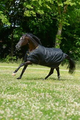Bucas Irish Turnout 50 g Outdoordecke mit DermoCare Innenfutter black Regendecke - Bild 1 von 4
