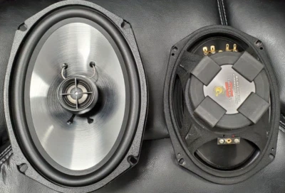CRITICAL MASS 6X9 扬声器 KICKER ORION DSP JL ADS 音频 JBL SKAR ALPINE KICKER — 第 1/4 张图片