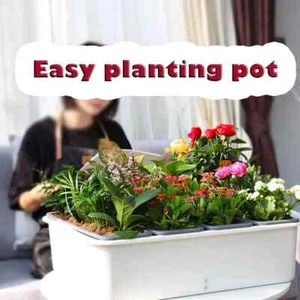 Self-Watering Auto Feeding Smart Vegetable Plant Grow Bed Pot Kit SC03 - Picture 1 of 4