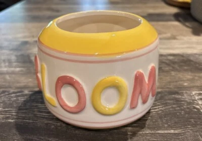 Maceta suculenta de 4,5 pulgadas rosa amarillo blanco NUEVA Foto 1 de 4