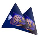 2x Triangle Coaster - Tropical Bluering Angelfish Reef Fish #16055