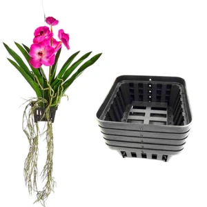15 Pcs Black Plastic Square Vanda Orchid Air Plant Pot Mesh Hanging Basket Deco - Picture 1 of 11