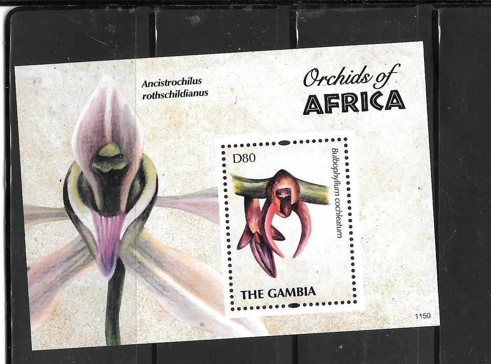 GAMBIA SC#3403 2011 ORQUÍDEAS MNH XF HOJA DE RECUERDO MODERNO SELLO Foto 1 de 1