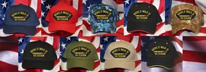 WORLD WAR 2 HAT PATCH CAP ASIATIC PACIFIC VET ARMY MARINES NAVY AIR FORCE USCG - Picture 1 of 19