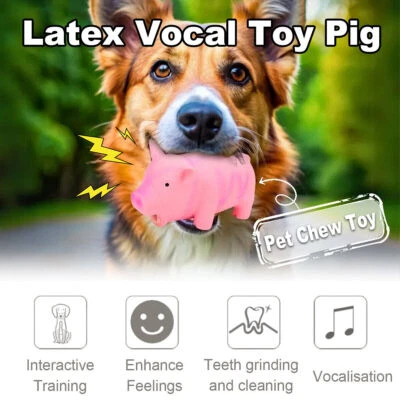 Bite Resistant Latex Pig Dog Toy Sounding Pet Chew Toy for Teething Puppies AU - image 1 of 4