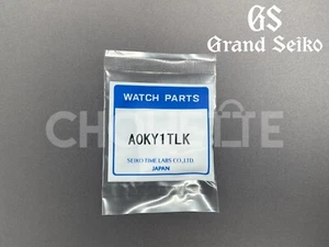 OEM Grand Seiko A0KY1TLK collegamento cinturino acciaio inox SBGA443, SBGA445 / 9R65-0DG0 - Foto 1 di 4