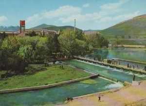 AK Kurdistan Sulaimaniyya - Bild 1 von 1