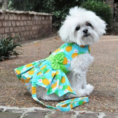 Doggie Design Pineapple Luau Dog Harness Dress with Matching Leash XS-S-M-L-XL - Image 1 of 4