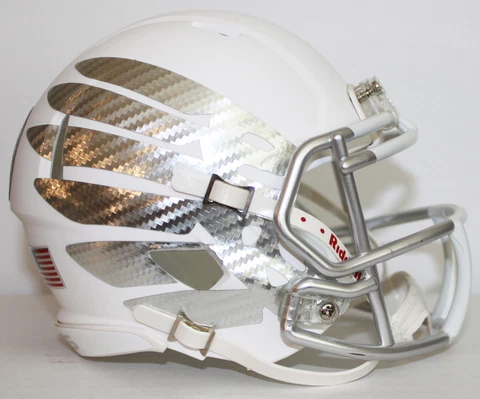 2015 Oregon Ducks Custom Riddell Mini Helmet vs Ohio State BCS Championship Cover