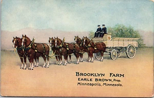 MINNEAPOLIS, MINNESOTA - BROOKLYN FARM - BELGIAN HORSES - ADVERTISING POSTCARD - Picture 1 of 2