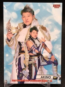 AKINO BBM WOMAN'S PRO WRESTLING CARDS 2022 BASEBALL MAGAZINE JAPAN 006 - Picture 1 of 12