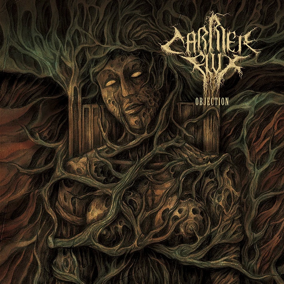 Carrier Flux Objection (CD) - Image 1 of 1