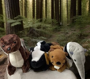 NWT 4 TY 2000 Beanie Baby Runner - Ants - Bucky - Stinky Woodsy Animals - Picture 1 of 4
