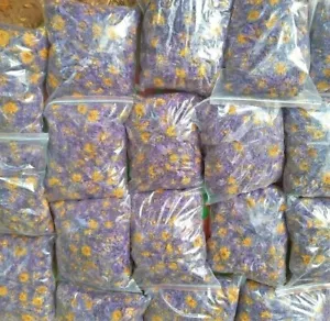 Dried BLUE LOTUS Nymphaea Caerulea Organic Herbal Hand Picked Flowers TEA/SMOKE. - Picture 1 of 15