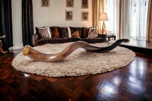 40" GRANDE SHOFAR ebraico FULL POLACCO Yemenita Kudu Horn Sinagoga Israele Tempio - Foto 1 di 24