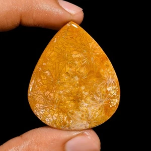 46 Ct. Cts Natural Fossil Coral Wirewrap Cabochon Necklace Supply 41X34X4 mm - Picture 1 of 6