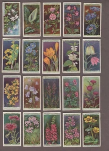 1923 Wills's Cigarettes Wild Flowers Tobacco Cards Complete Set of 50 - Bild 1 von 6