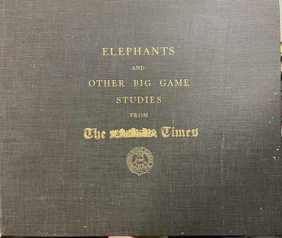 Times Elephants big game studies, Photography, Fotografie, Muscuswell Maxwell - Bild 1 von 1