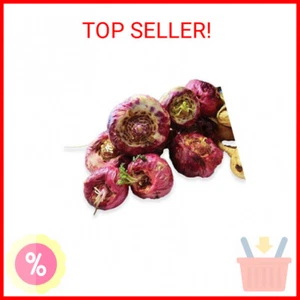 New 100 Seeds of Red MACA Peruvian Ginseng Vegetable Seeds RED. - Picture 1 of 1