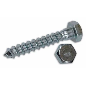Viti per Legno Tirafondi Zincate Testa Esagonale TE 10x 50 mm confezione 50 pz - Foto 1 di 1