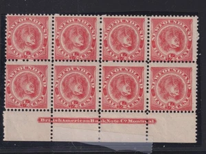 NFLD #57 8er Block NH mit Aufdruck CV 480€+ - Bild 1 von 2