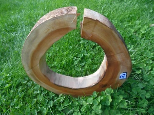 Baumscheibe Astscheibe Wildkirsche Ring 25 cm für Epoxidharz Deko Basteln - Bild 1 von 5