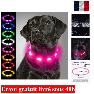 Collier Lumineux Joytale pour Chien - Ajustable, Rechargeable et Tendance - Photo 1/4