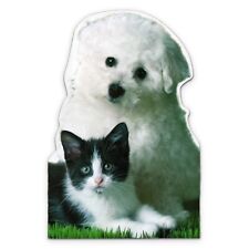 Cute ANYTIME BLANK INSIDE Card FOR ANYONE, Puppy Kitten by American Greetings +✉