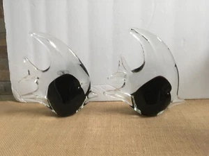 SET of TWO Hand Blown Art Glass ANGEL FISH Figurines Clear /Black Tropical Decor - Picture 1 of 16