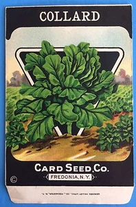 *Original* COLLARD Greens Vegetable CARD SEED Packet Pack 1920's Fredonia N.Y. - Picture 1 of 2