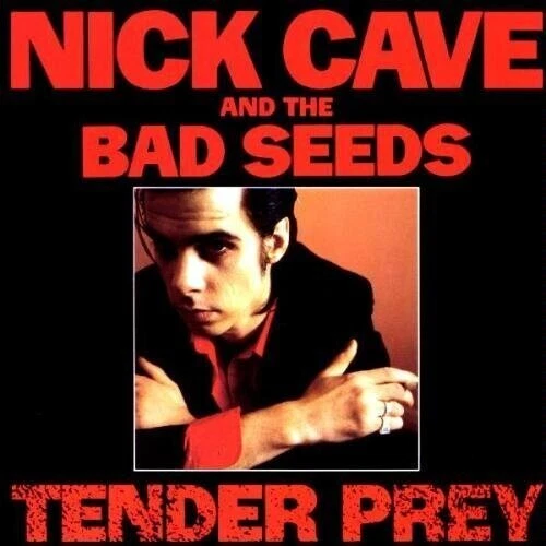 Tender Prey by Cave, Nick & Bad Seeds (Record, 2022)