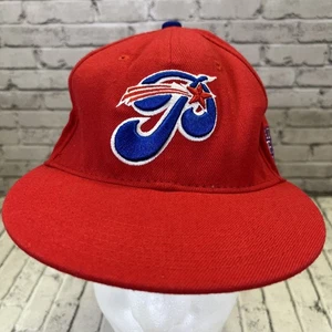 Vintage Philadelphia Stars Hat Cap Fitted Mens Large MLB Baseball National Leagu - Picture 1 of 10