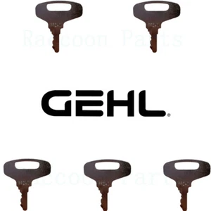 5 llaves de encendido cargadora de dirección deslizante Gehl 131748 164685 para encendido Gehl 131688 - Imagen 1 de 3