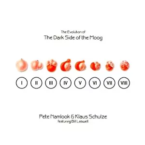 Pete NAMLOOK Klaus SCHULZE Bill LASWELL Evolution Of...Dark Side Of The Moog CD - Picture 1 of 2