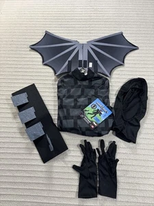 Minecraft Ender Dragon Boy Costume Small 4-6 Jumpsuit Wings Gloves Tail Hood - Picture 1 of 9