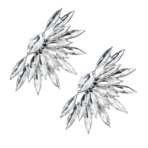 2 PIEZAS Clips para Zapatos Zapatilla Tacones Brillantes Hebillas para Zapatos Dije Clips Zapato de Novia - Imagen 1 de 12