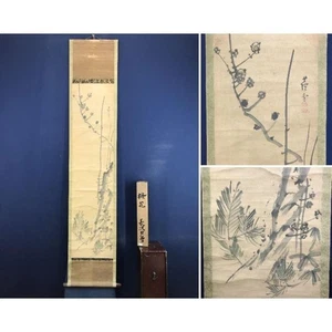 Japanese Hanging Scroll by Nagasawa Rosetsu “Plum Blossoms and Pine” Edo Art - Picture 1 of 10