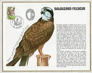 Francia Fauna Aves rapaces año 1978 (CO-120) - Imagen 1 de 1