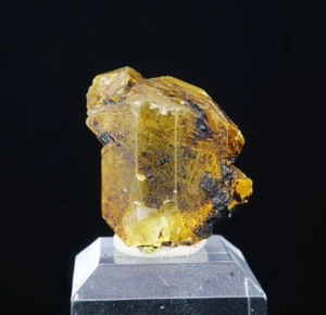 Zolfo e petrolio var. Deposito bitume / Vodinskoe, Russia / minerale ultra raro - Foto 1 di 4