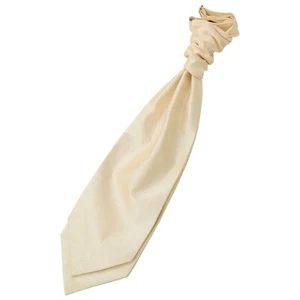 Beige einfarbig schlicht Shantung Herren lässig formell Hochzeit vorgebunden Krawatte von DQT - Bild 1 von 2