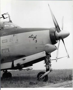 BREGUET 1050 ALIZE VINTAGE ORIGINAL HOWARD LEVY PHOTO 1 - Picture 1 of 2